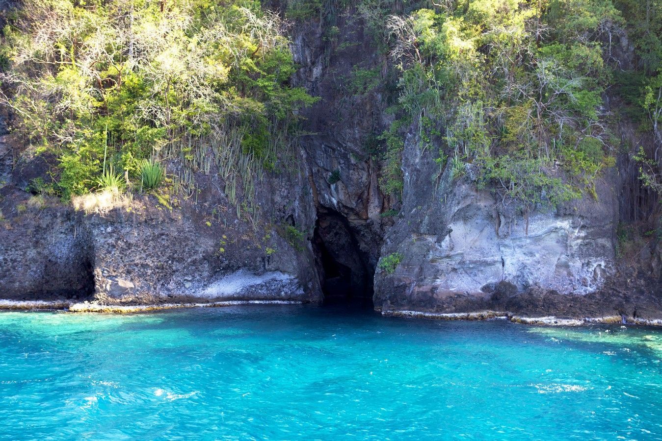 catamaran tour martinique