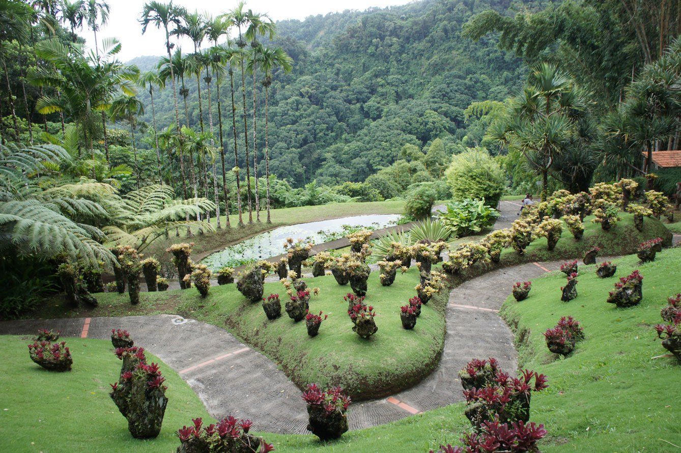 Le jardin de balata