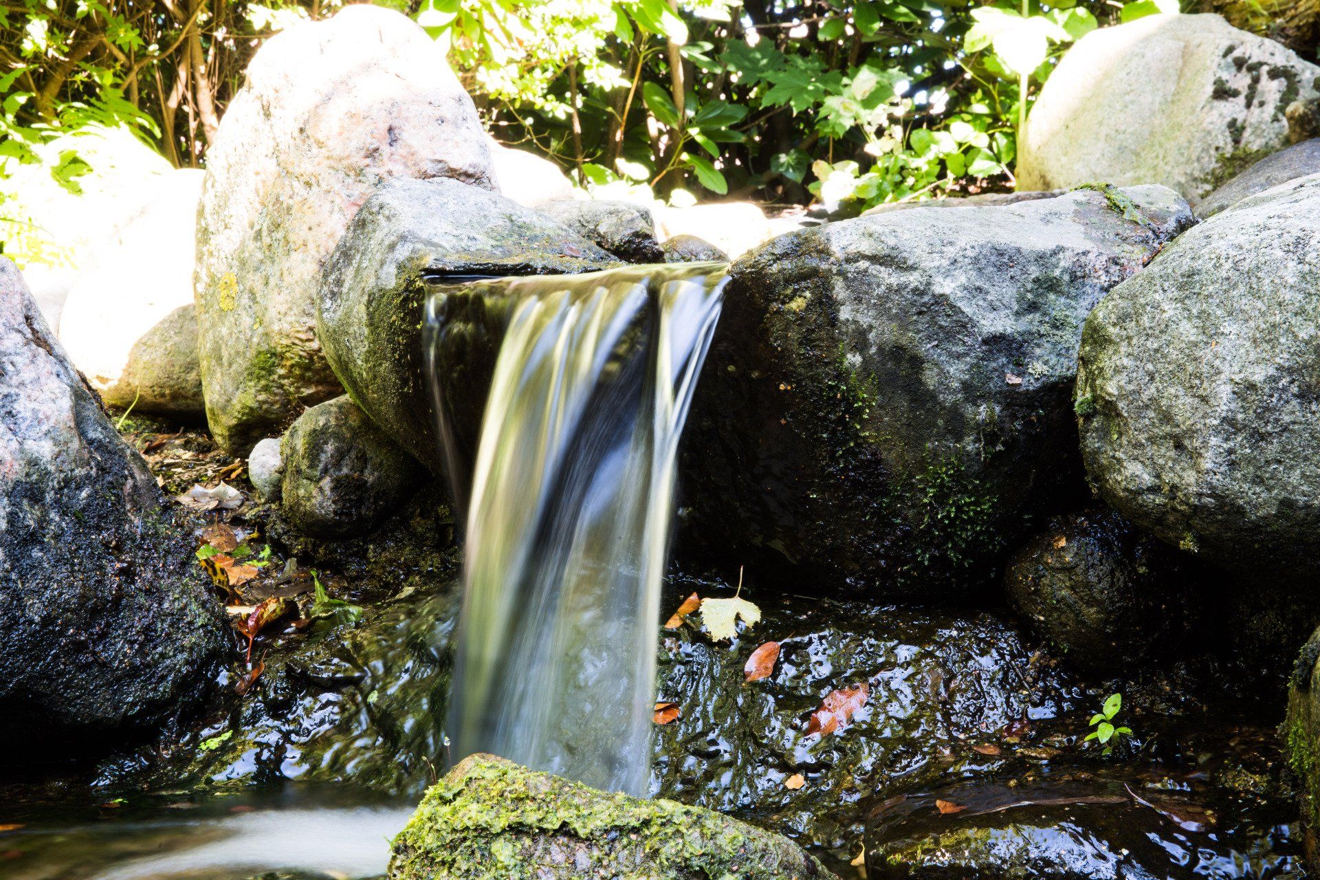 Naturfriseurin.de-Detailansicht Garten