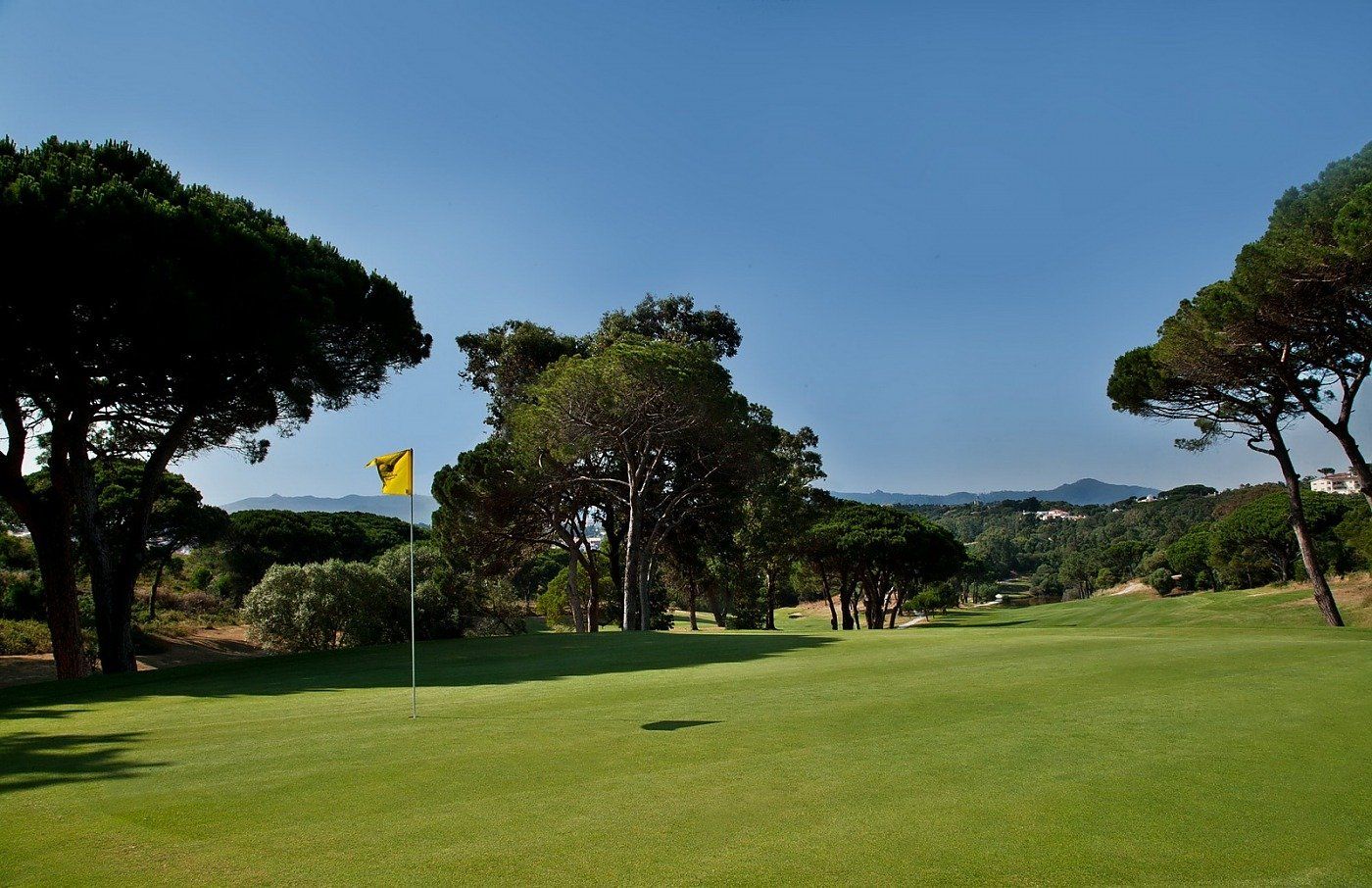 Golf de Estoril championship course with umbrella pine trees Costa do Estoril Portugal