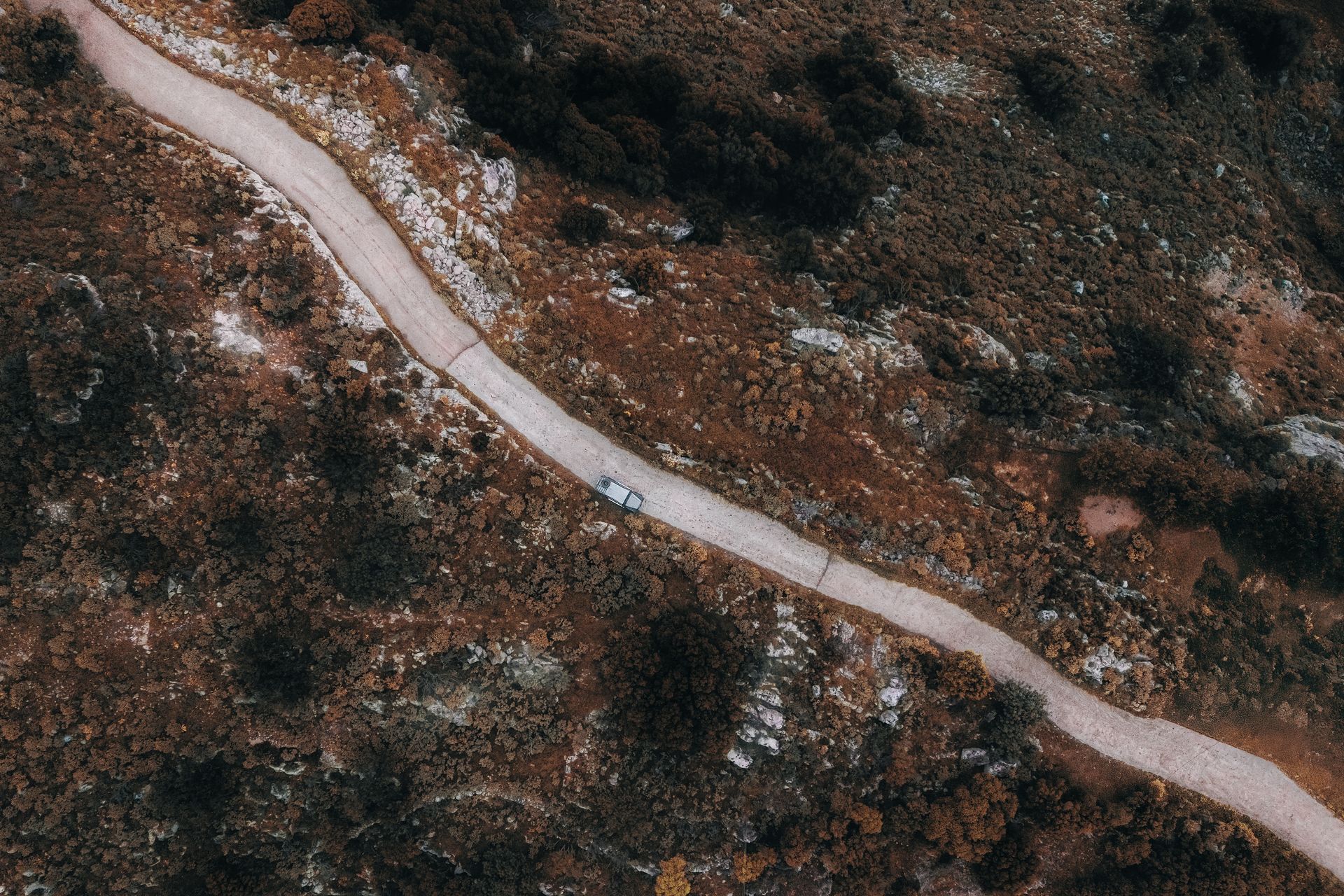 Fine art print kaufen