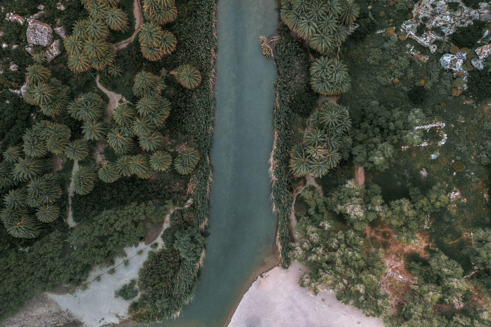 Fine art print kaufen