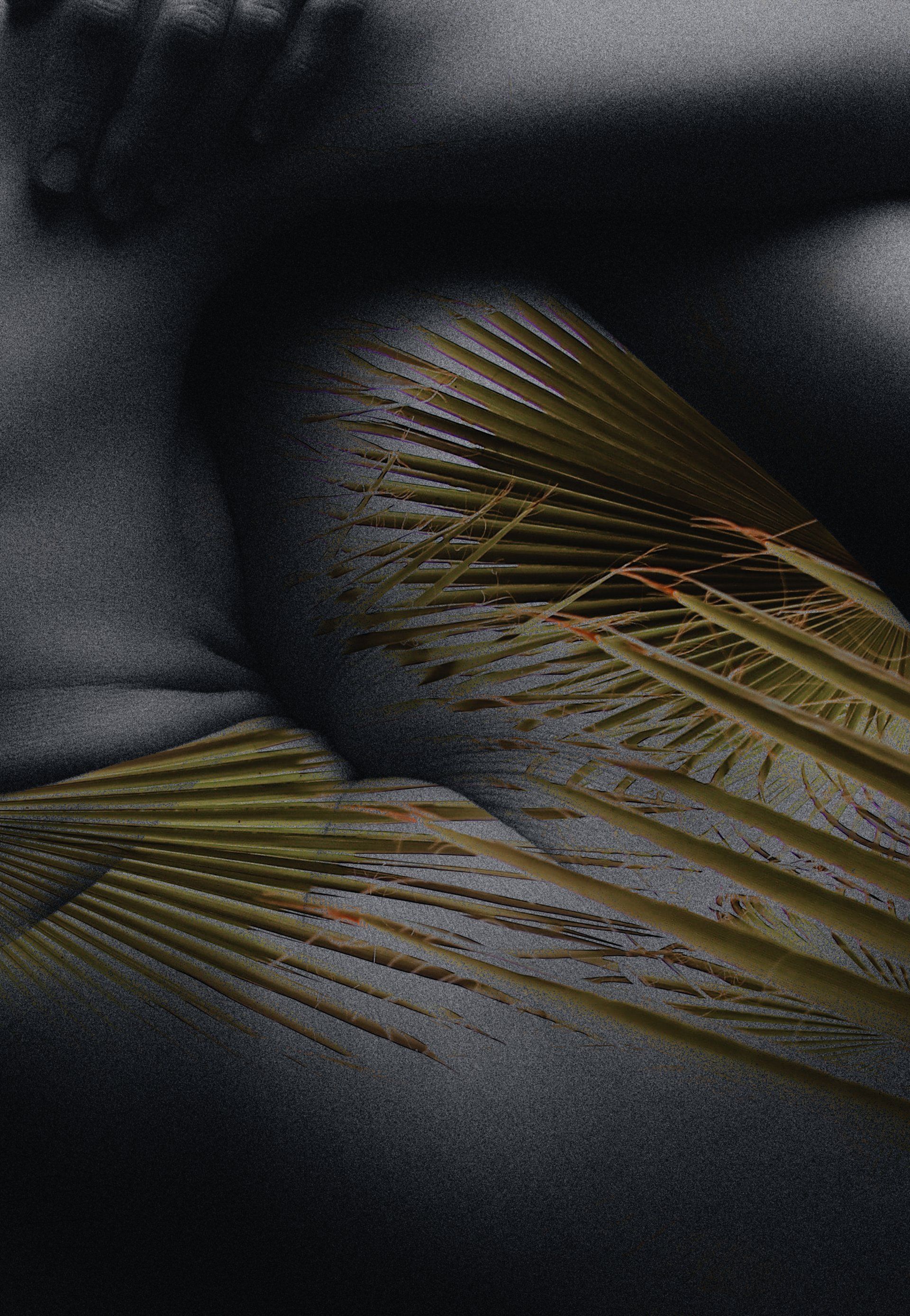 Wanddeko Fineart print