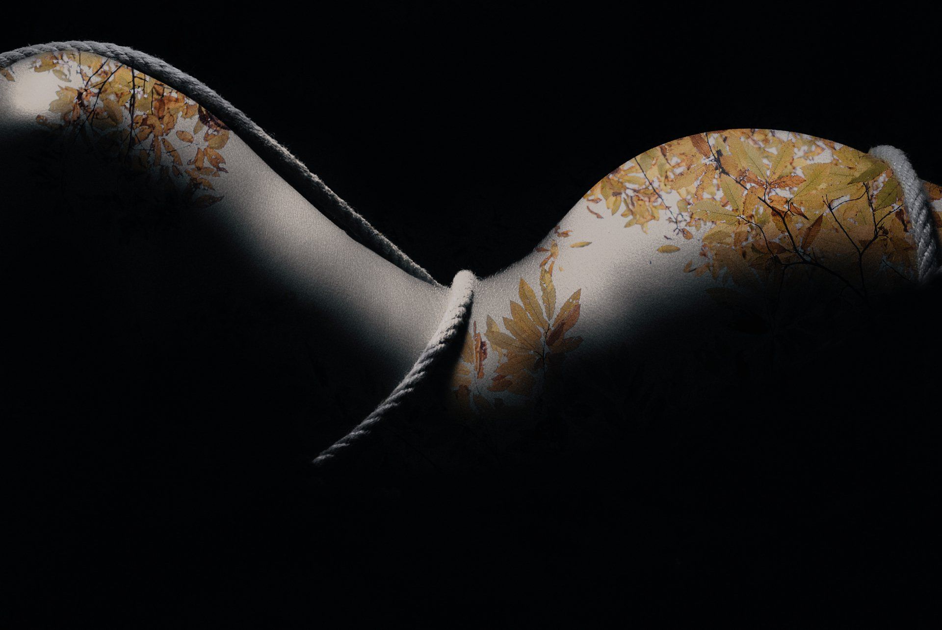 Foto Fineart print kaufen