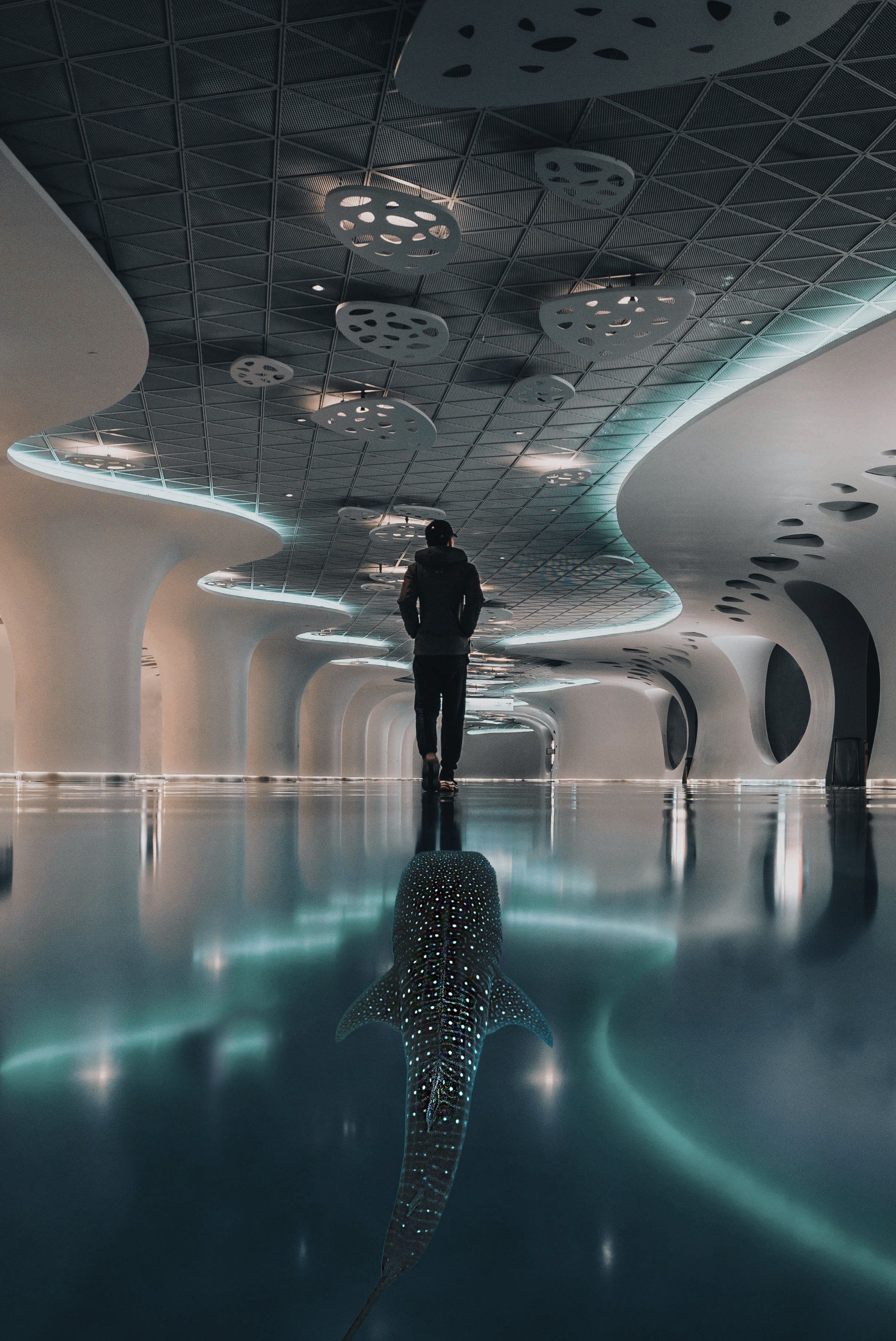 Hochwertige Fine Art Prints