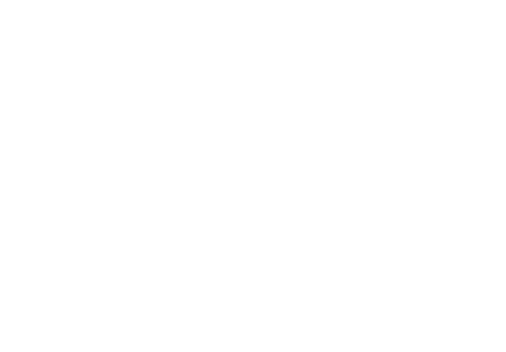 LoesUS Logo