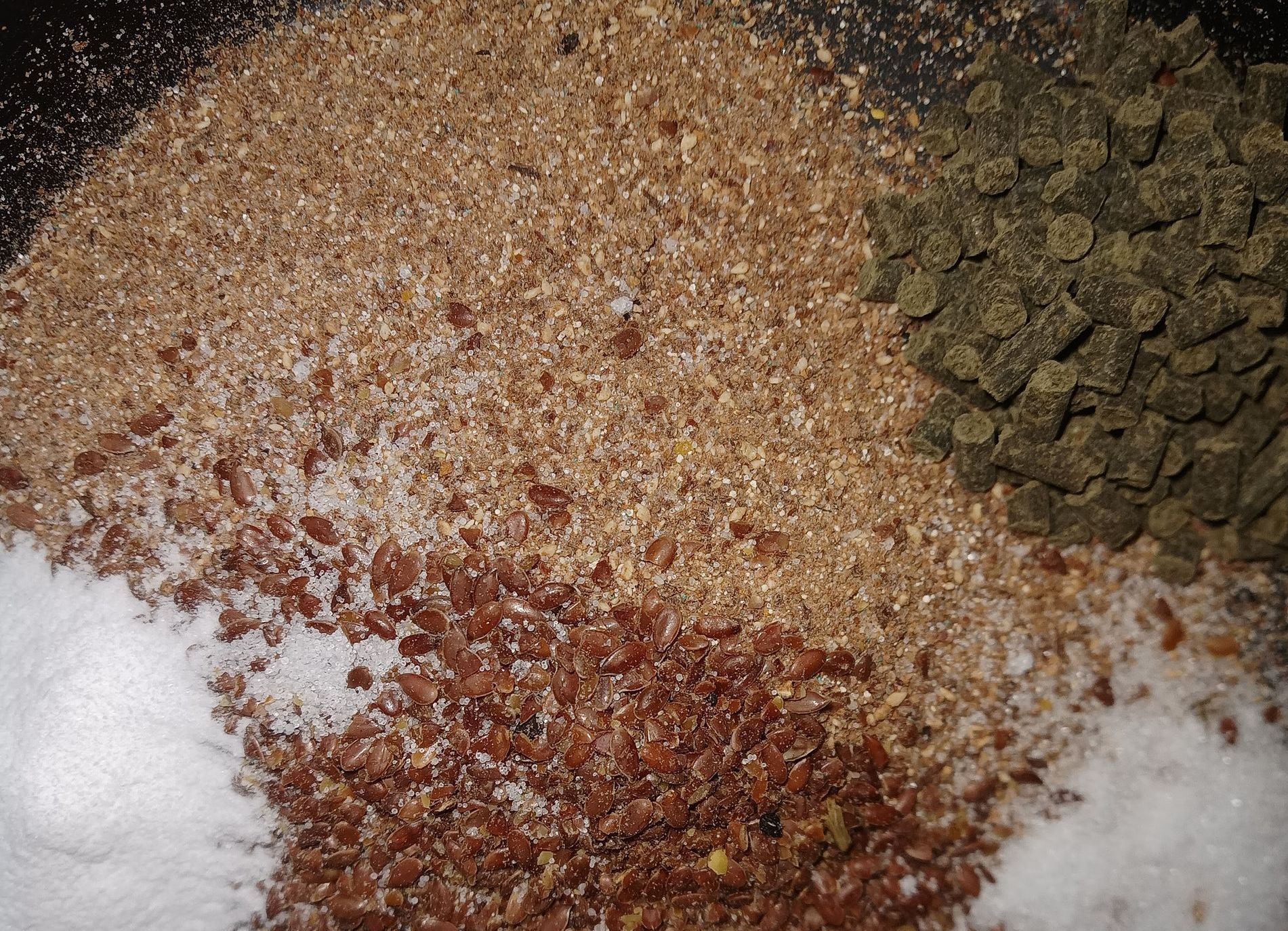 Artgerechte Ernährung für Pferde