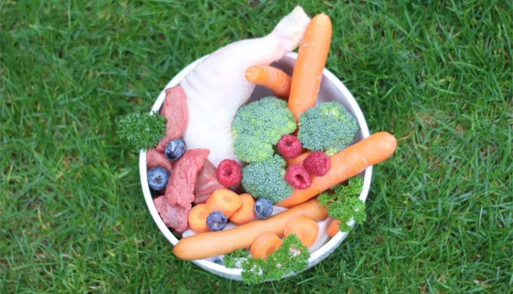 ausgewogene Fütterung mit Fleisch, Gemüse und Obst Das Bild zeigt Fleisch, Gemüse und Obst für die Hundeernährung