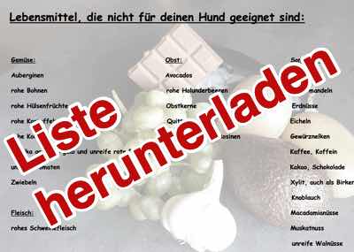 Liste mit giftigen Lebenmitteln als PDF herunterladen