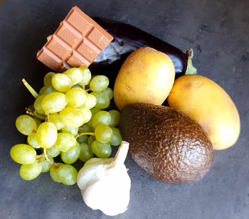 Giftige Lebensmittel für den Hund Das Bild zeigt giftige Lebensmittel für den Hund