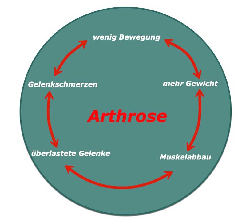 Arthrose und Übergewicht bei Hunden Arthrose und Übergewicht bei Hunden