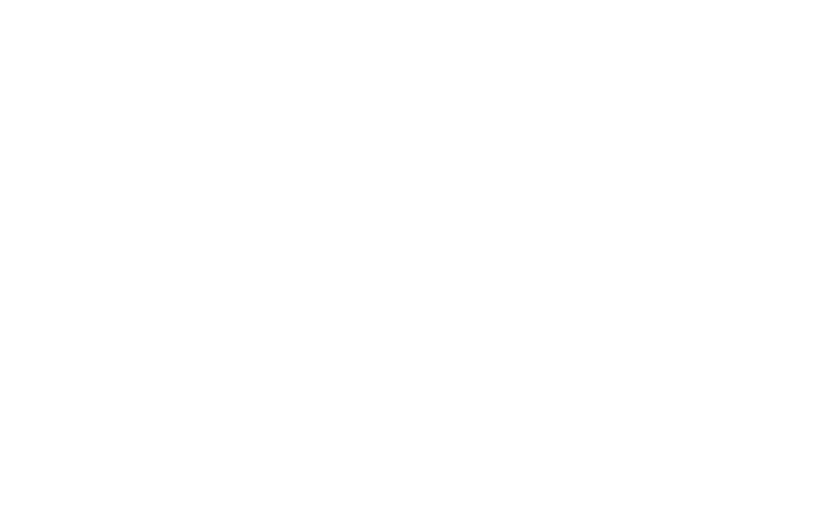 helwerth consulting Logo