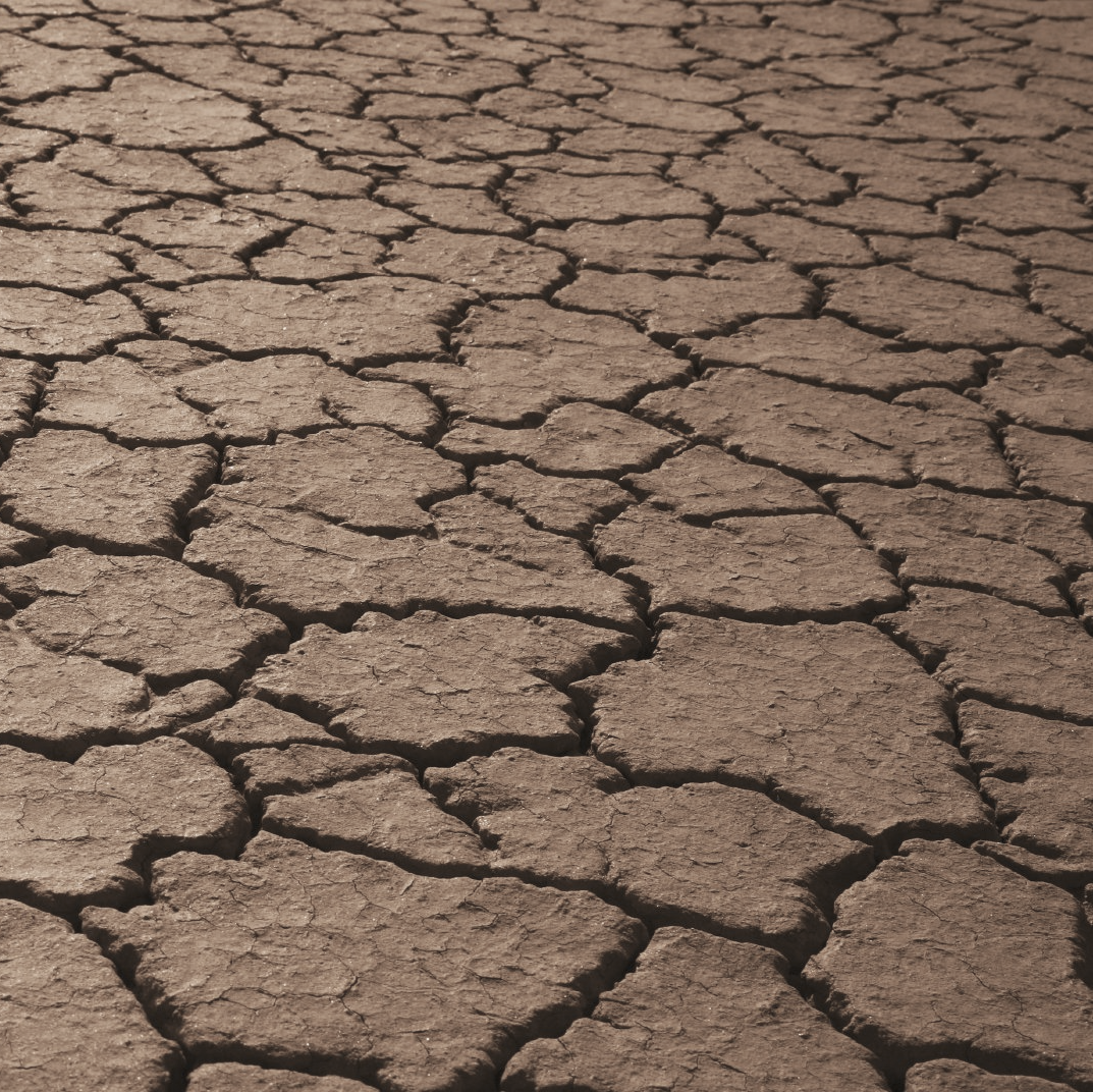 PRP-behandlung Narben PRP - Behandlung Narben Limburg Aesthetic Concepts