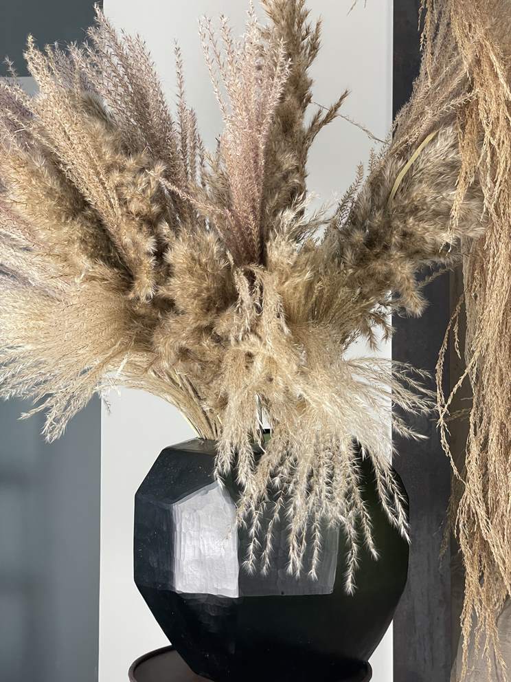 Trockenblumen Pampasgras - Für Small Business & DIY