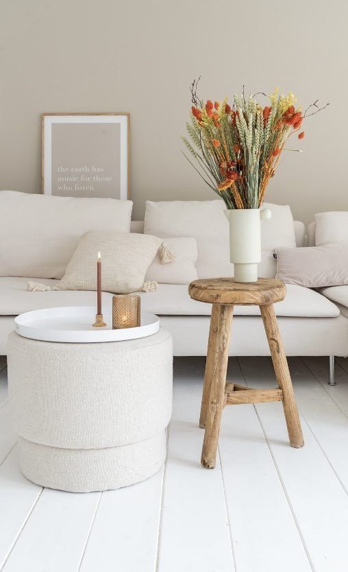 Getrocknete Blumen & Gräser - Trockenblumen für Trockenblumen & konservierte Blumen - Für Innenarchitekten & Dekorateure