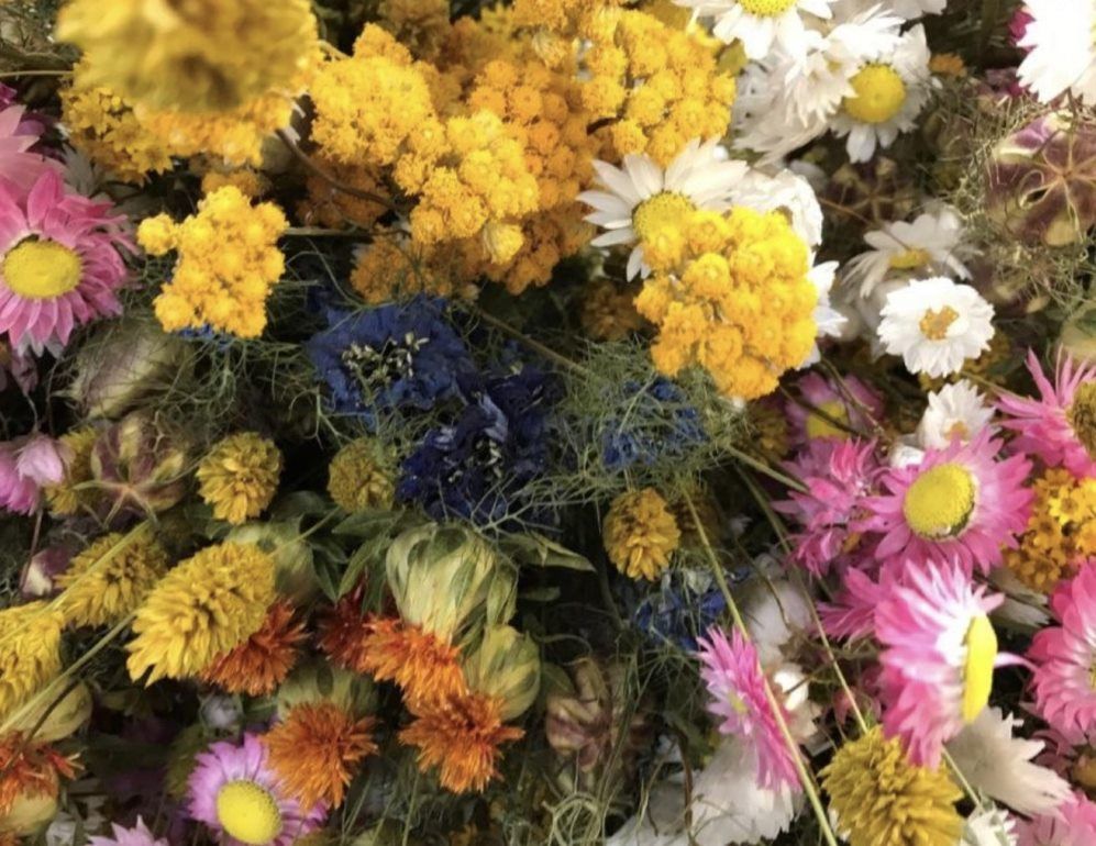 Si-nature Retail Getrocknete Blumen online kaufen