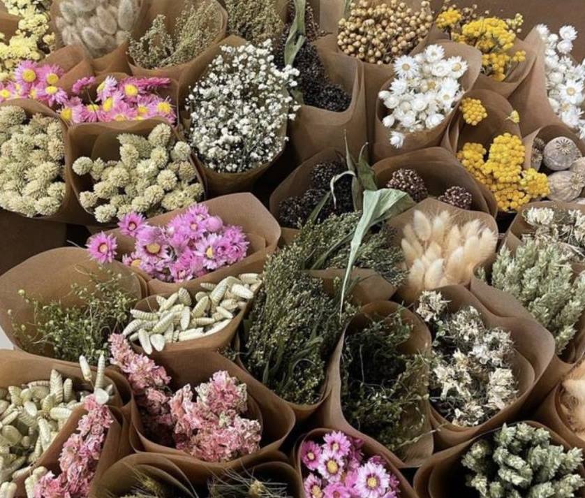 Si-nature Retail Trockenblumen Großhandel