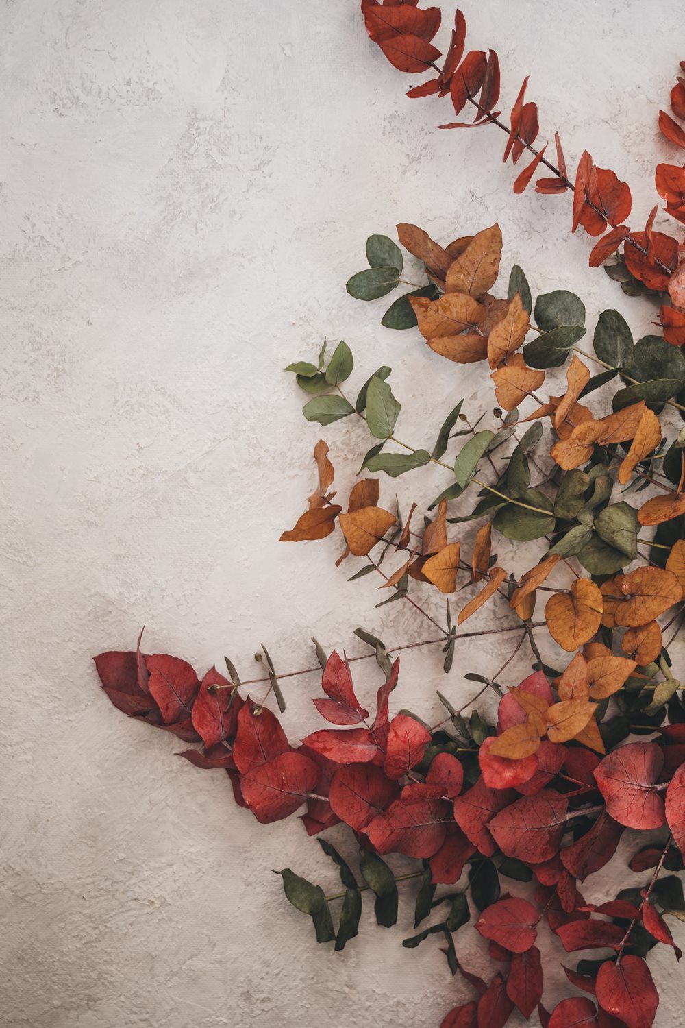 Si-nature Trockenblumen Großhandel