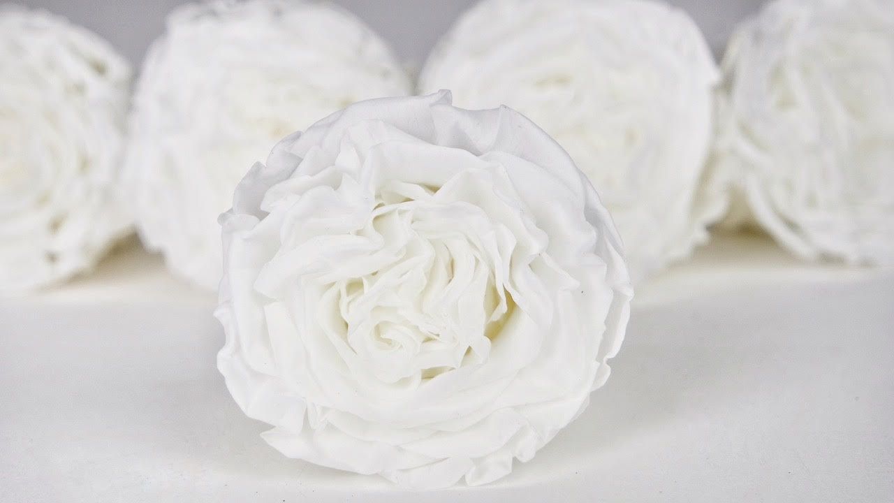 Si-nature Konservierte Blumen und Rosen