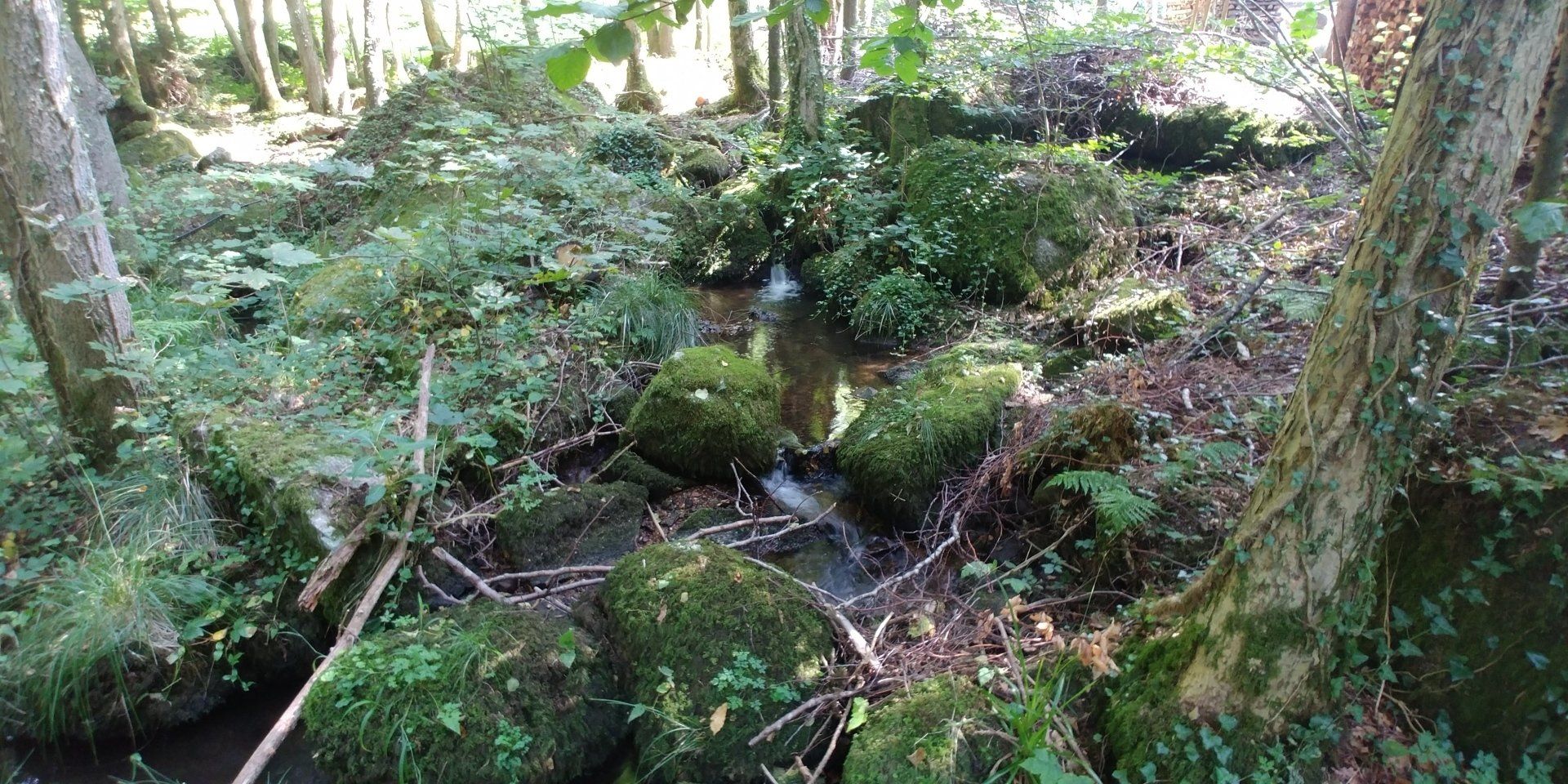 Elektrofischerei & Gewässermanagement, unio-river sciences, Chris Pardela