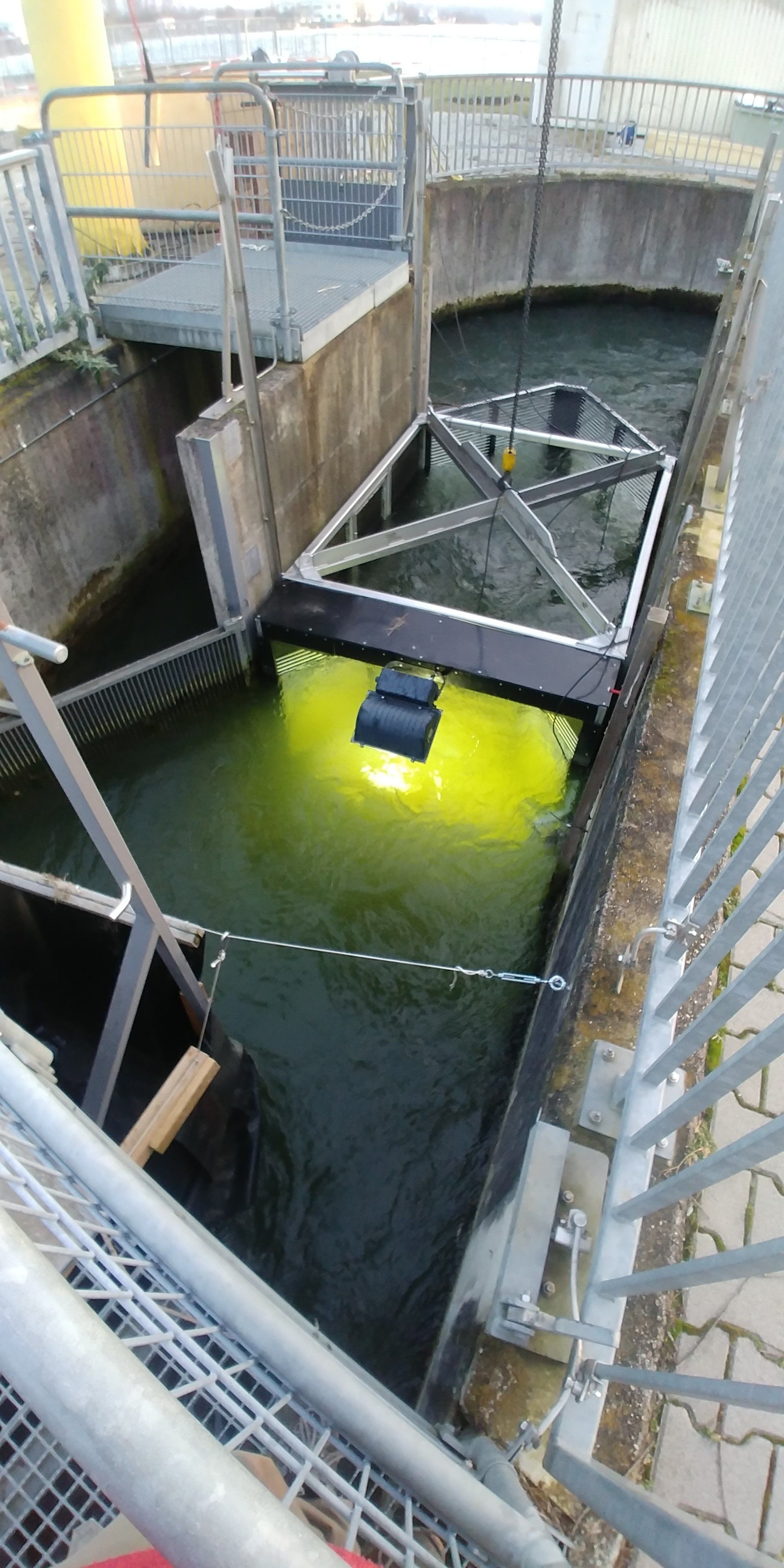 Monitoring, unio - river sciences, Chris Pardela