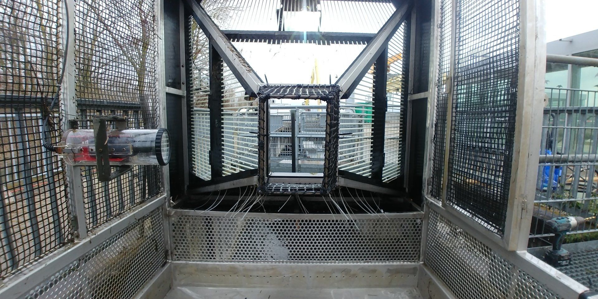 Sachverständiger Gutachten, unio river sciences, Chris Pardela