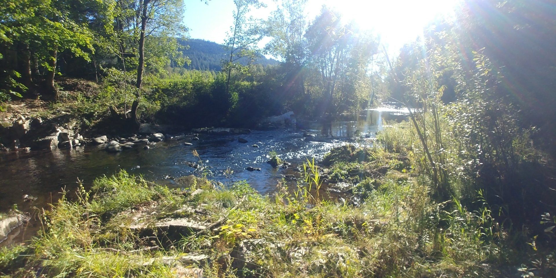 Fachbüro für Fischereibiologie & Gewässerökologie