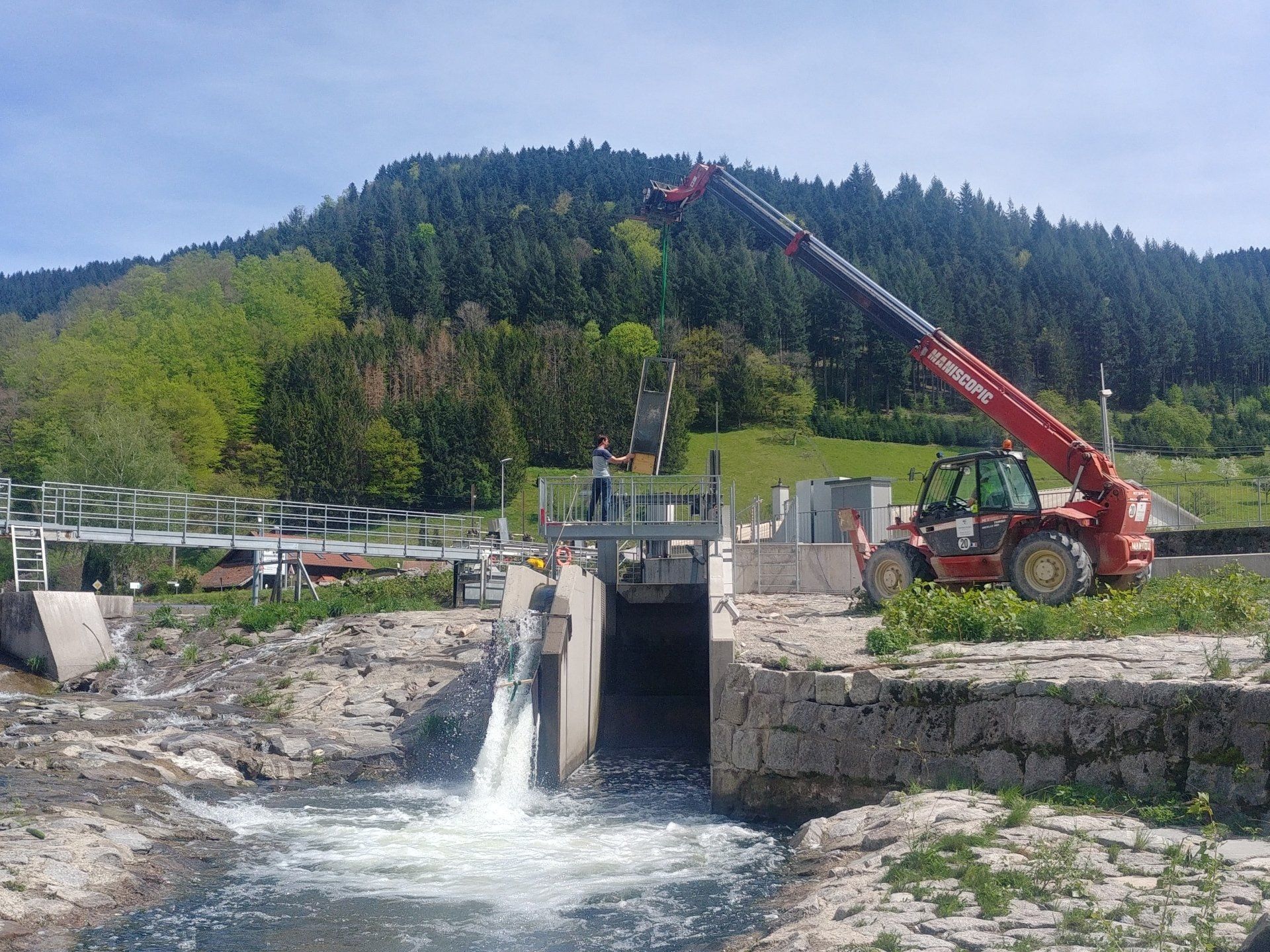 Ökologische Baubegleitung, unio river sciences, Chris Pardela