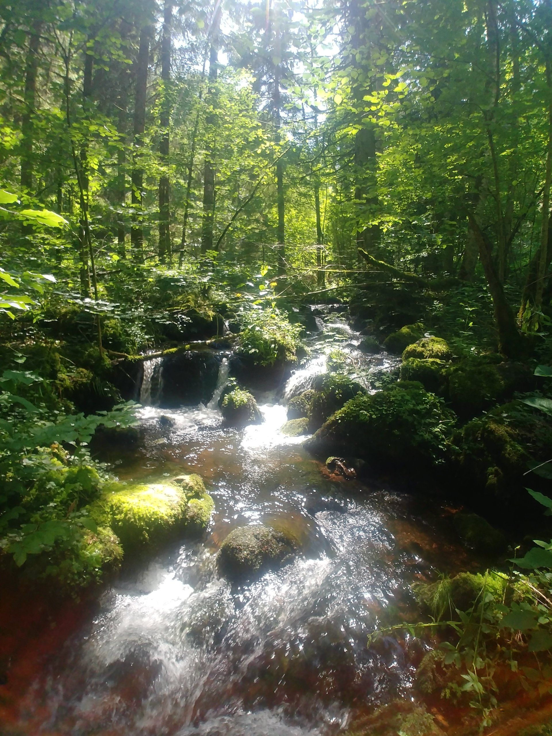 Mindestwassergutachten Zweribach, Wasserkraft