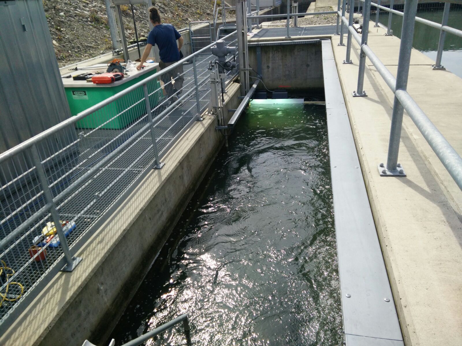 Technische Baubegleitung, unio river sciences, Chris Pardela