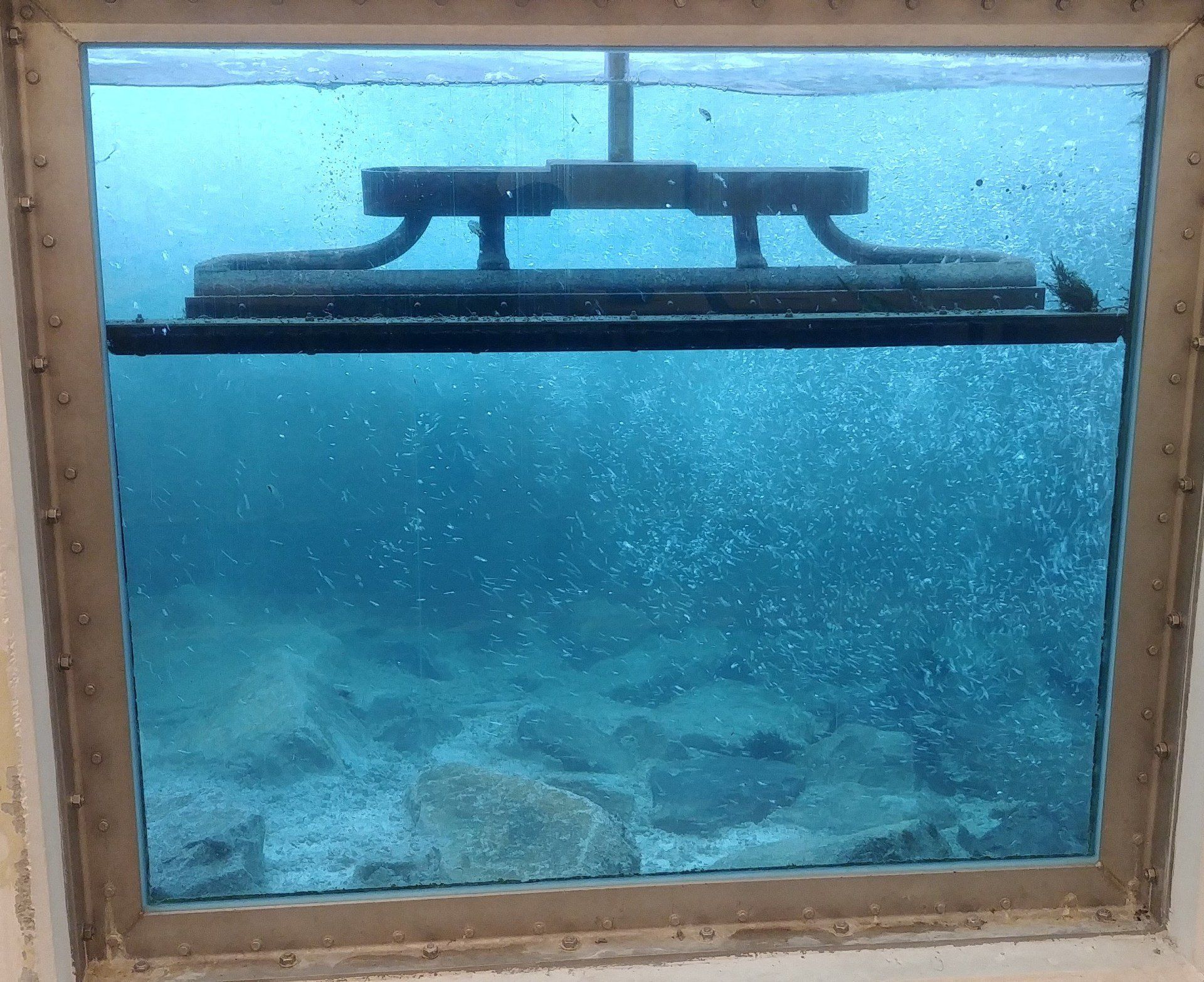 Umbau Fischpass Iffezheim, Rhein, Besucherraumfenster
