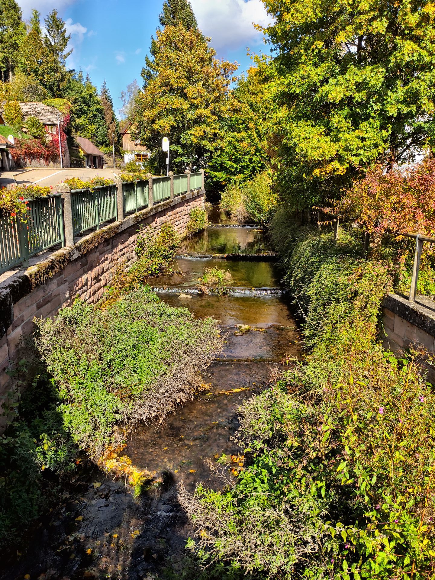 Sachverständiger Gutachten, Renaturierung Gewässer, Bachneunaugen