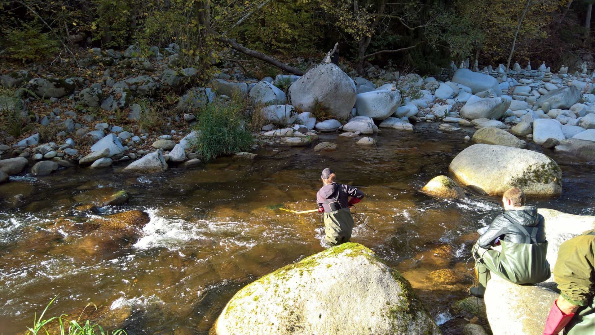 Elektrofischerei & Gewässermanagement, unio-river sciences, Chris Pardela