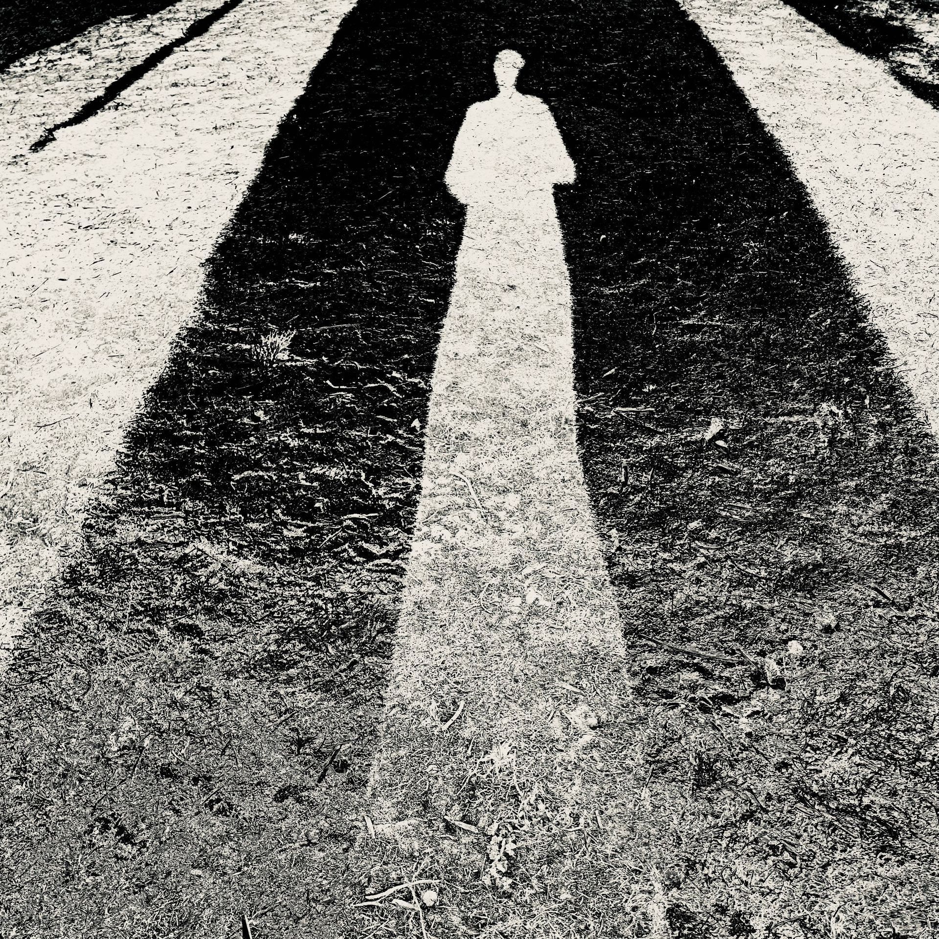 Dans l'abysse de l'ombre, par Chantal Delacotte & Csilla Kemenczei Dans l'abysse de l'ombre, par Chantal Delacotte & Csilla Kemenczei