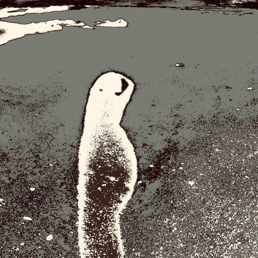 Paroles de l'Ombre, par Julie Gille Paroles de l'Ombre, par Julie Gille