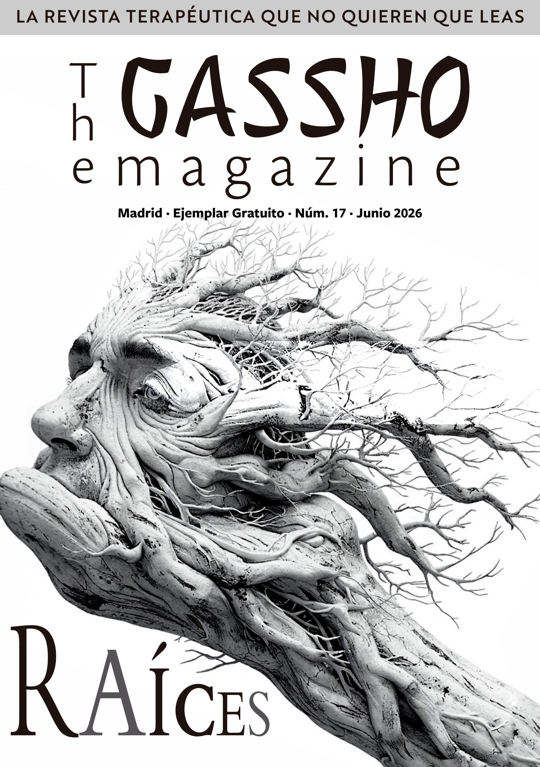 Portada número 11 de la revista The Gassho Magazine