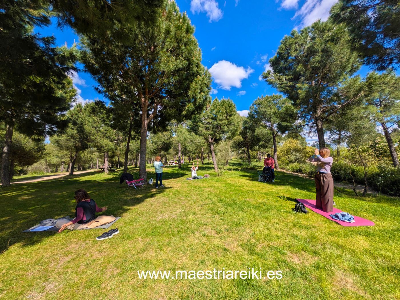 Retiro de Reiki 2026