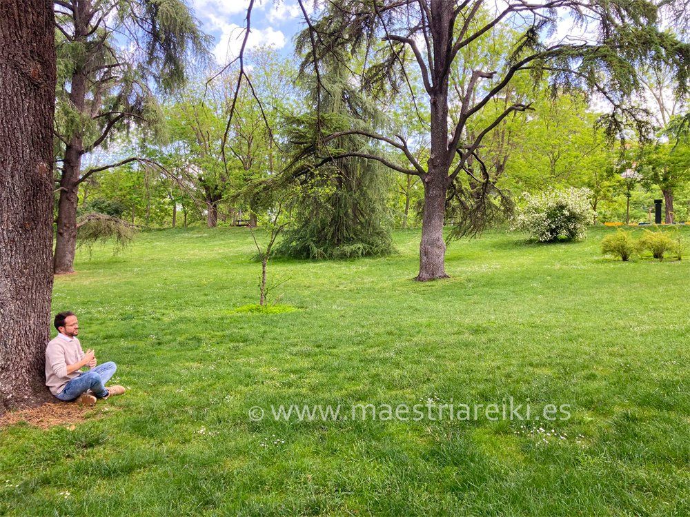 Autotratamiento de Reiki en la naturaleza