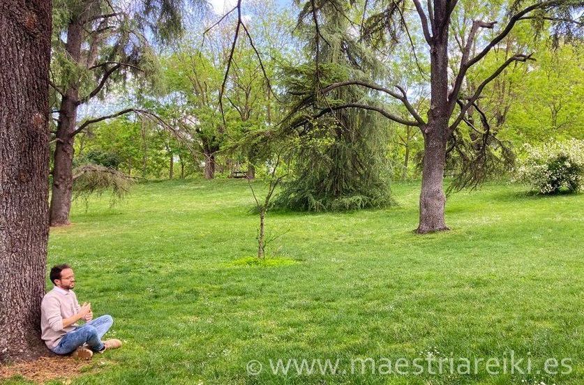 Terapia de Reiki a Distancia