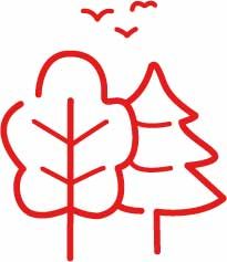 ein Icons mit Bäumen und Vögeln