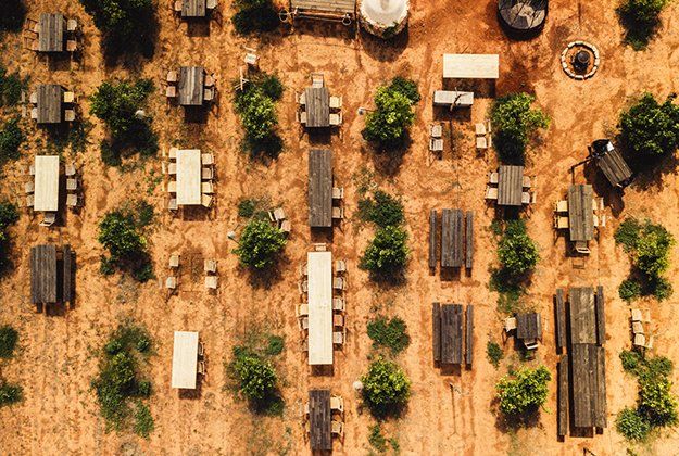 Terra Masía, from farm to table.