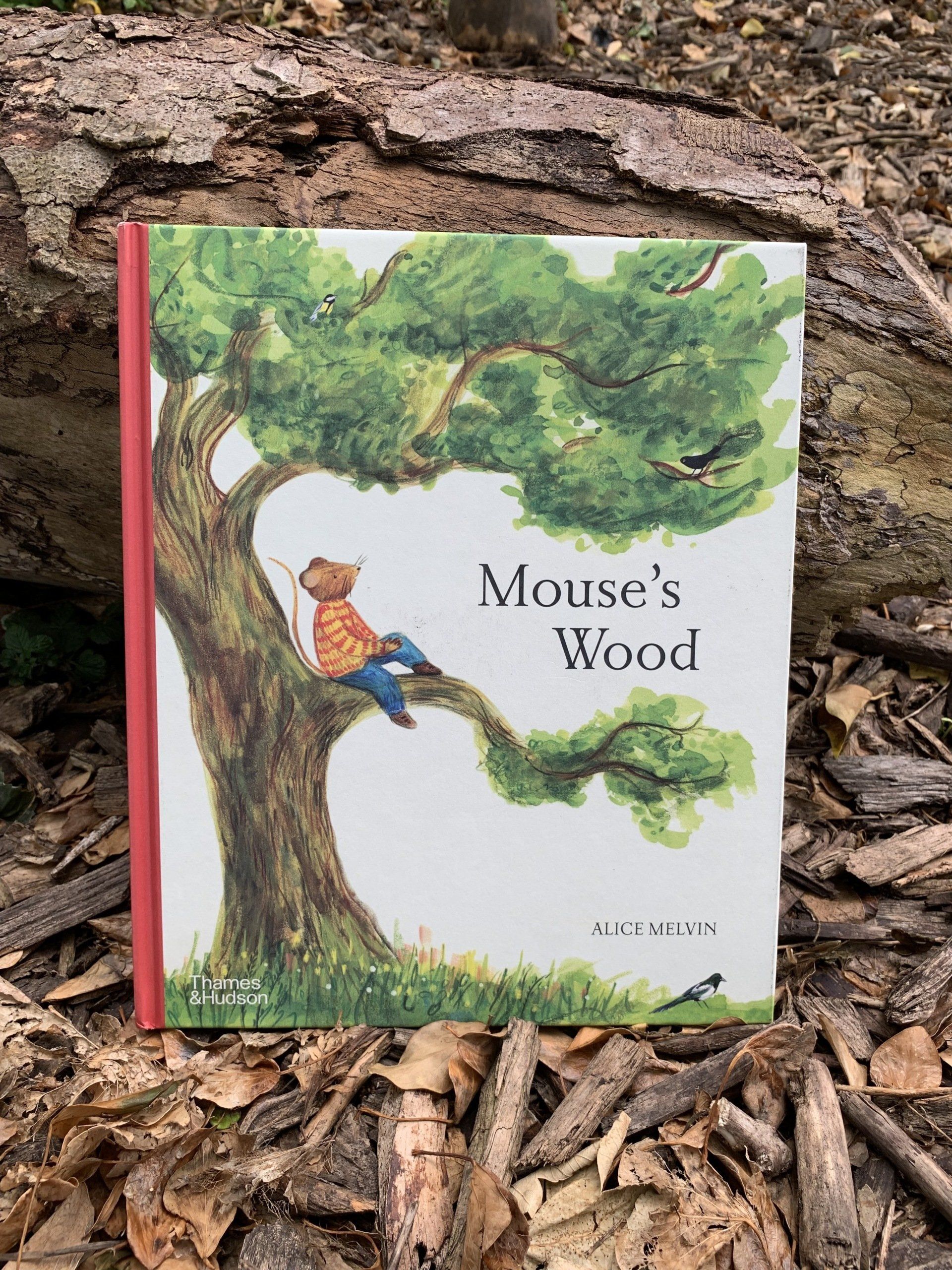 A book review of picture book Mouse's Wood by Alice Melvin
