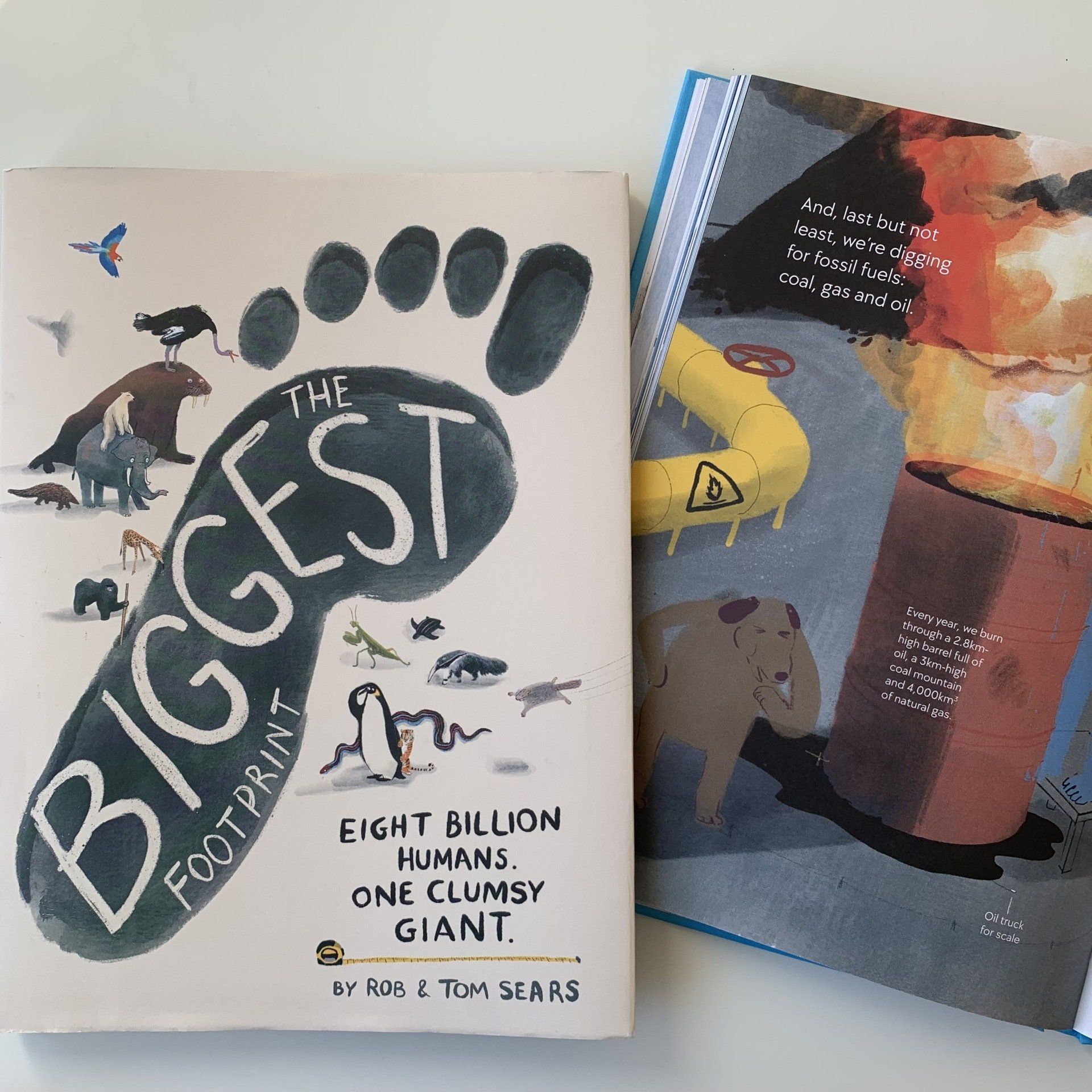 The Biggest Footprint Book Review