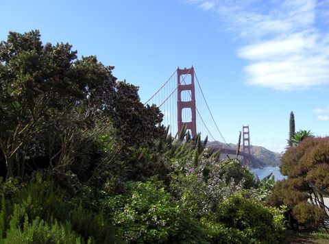 Florian-Kunze-Speaker-Business-Profi-Digitalisierung-Motivation-Reisen-Querdenken-Redner-Vortrag-keynote-kalifornien-nevada