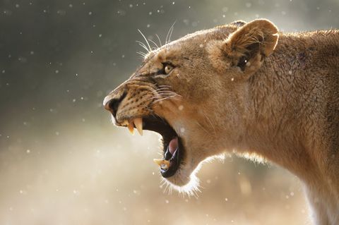 Florian-Kunze-Speaker-Business-Profi-Digitalisierung-Motivation-Reisen-Querdenken-Redner-Vortrag-keynote-südafrika