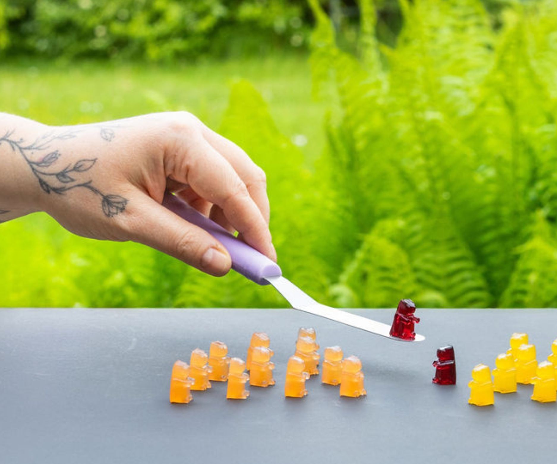 Essen und Genießen Kärnten Weissensee