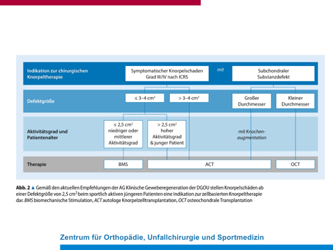 Behandlungsoptionen Knorpelschäden