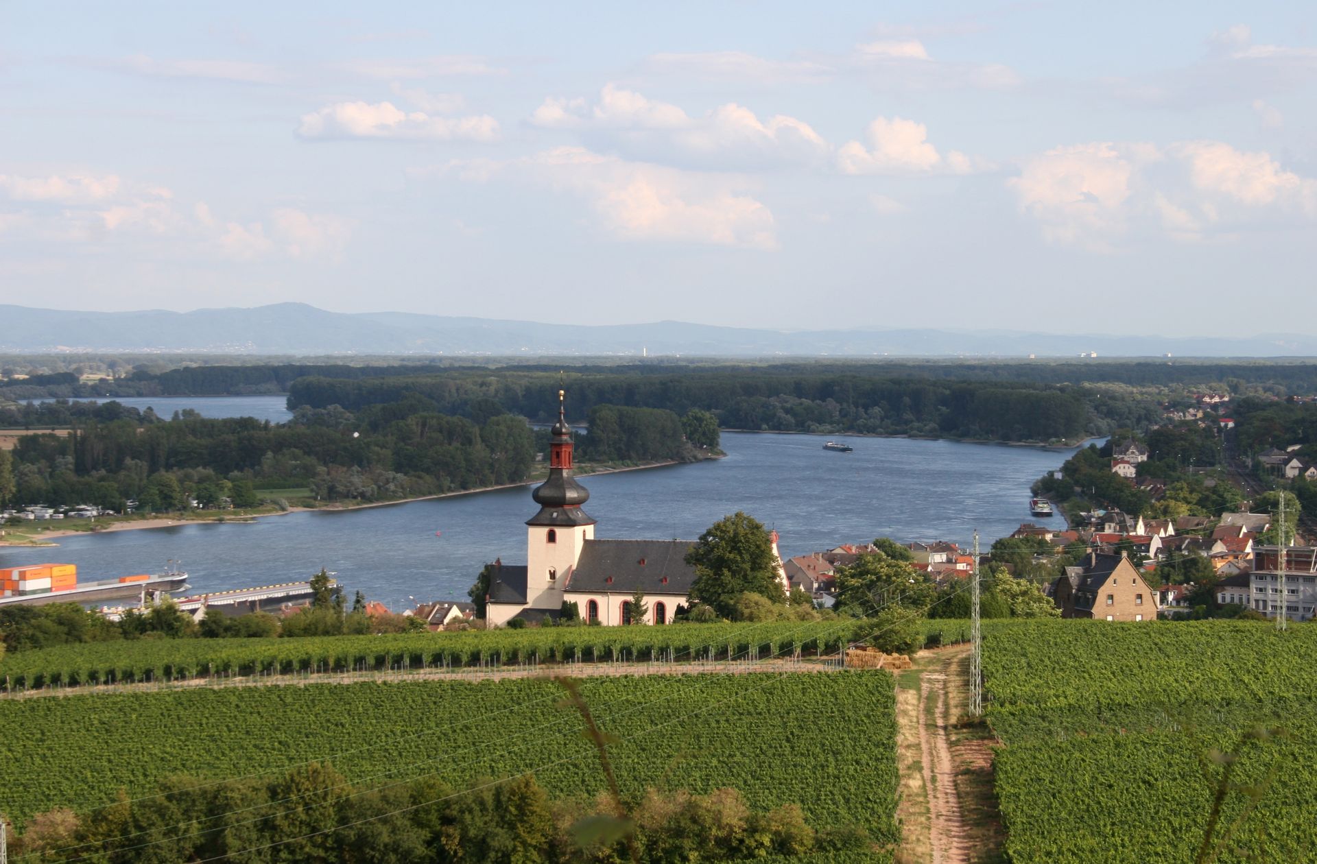 Ansicht von Nierstein
