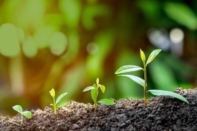 nachhaltige Werte - gemeinsam schaffen nachhaltige Werte - gemeinsam schaffen