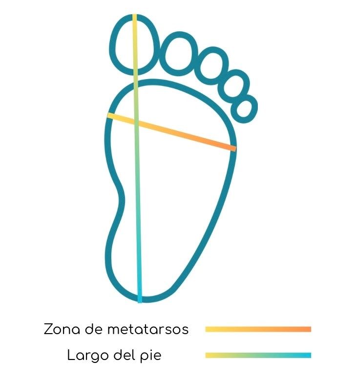 Diagrama para medir el pie con líneas de referencia